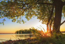 Under Large Tree On Lake Shore On Sunset In Summer. Summer Landscape Of Nature. Big Branchy Tree On River Bank In Evening With Clear Sky On Horizon. Warm Sunlight On Grass. Bright Sun Shining.