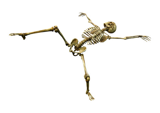 3D Rendering Human Skeleton on White