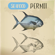 Sketch Of Permit Or Game Fish. Seafood