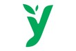 letter y tree concept logo