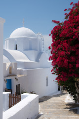 Wall Mural -  A small chapel next to the road with pink flowers