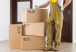 © alexugalek - Worker standing near delivered boxes in apartment. Delivery background.