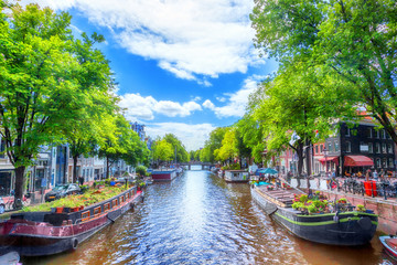 Wall Mural - canal in amsterdam