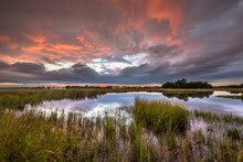 Dramatic Sunset Over Marshland In Natural Landscape