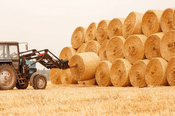 Wall Mural - bales of hay in a field with a tractor in the autumn background