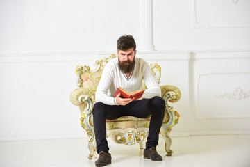 Leinwandbilder - Man with beard and mustache sits on armchair and reading book, white wall background. Scientist, professor on serious face explores literature. Macho smart spends leisure with book. Knowledge concept.