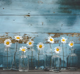 Daisy flower in glass bottles