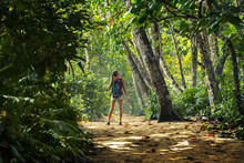 Young Woman Hiker Stands In The Tropical Lush Forest And Looks At The Trees