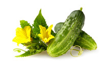 Fresh Green Cucumber With Leaf And Flower Natural Vegetables Organic Food Isolated On White Background.