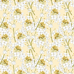 Wall Mural - Watercolor horseradish flowers. Seamless pattern. Botanical illustration of organic, eco plant. Illustration For Food Design.