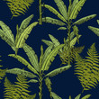 Tropical hand drawn exotic collection seamless pattern with banana palms and fern on dark blue background. Jungle exotic pattern.