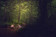 Summer Forest Play