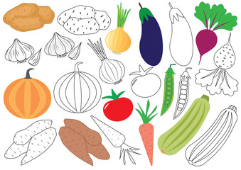 Wall Mural - Vegetables. Coloring book. Educational game for children. Vector illustration.