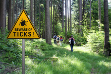 Beware Of Ticks In Infested Area With Walkers