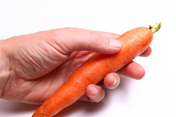 Sticker - The hand holds carrots on a white background