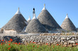 Cone shaped trulli houses with poppies in Puglia