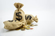 © William W. Potter - Money saving, investment and rich or wealth management concept : Dollar or cash in hemp bag or burlap sack and coins on white background, depicts prosperous person or millionaire has a lot of treasure