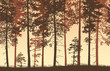 Seamless brown and yellow vector forest landscape with coniferous trees and grassy land.