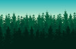 Seamless green vector forest landscape with coniferous trees.