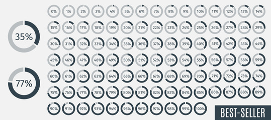 Set of circle percentage diagrams from 0 to 100 for infographics, lignt, 5 10 15 20 25 30 35 40 45 50 55 60 65 70 75 80 85 90 95 percent. Vector illustration.