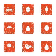 Poster - Vegetable orchard icons set. Grunge set of 9 vegetable orchard vector icons for web isolated on white background