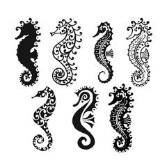 Seahorse collection, sketch for your design