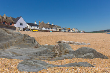 Canvas Print - Slapton Sands Devon England from Torcross in direction of Dartmouth 