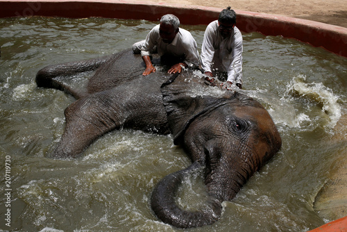 Hottest bath keepers ever