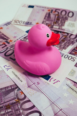 Wall Mural - Pink rubber duck is swimming in 500 euros banknotes, toy business concept. Child expenses, fun.