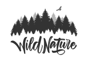 Wall Mural - vector illustration: hand drawn type lettering of wild nature with silhouette of pine forest and haw