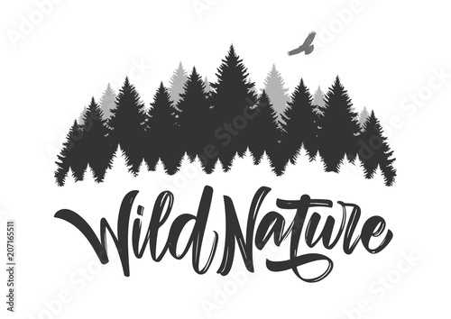 Fotomural Vector illustration: Hand drawn type lettering of Wild Nature with silhouette of Pine Forest and Hawk