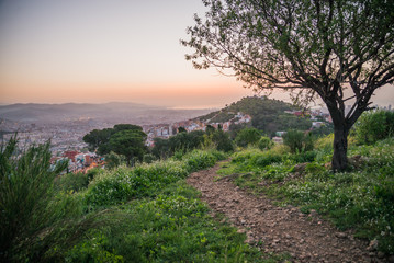 Wall Mural - Beautiful viewpoint of Barcelona at sunrise, natural location in spring.