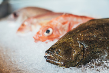 Hirame, olive flounder, bastard halibut or Japanese halibut and assorted fresh raw fishes on crushed ice. Kitchen food preparation, fresh supermarket or fish market concept