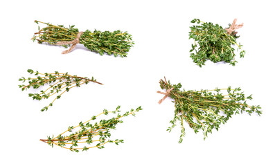 Wall Mural - Thyme garden, cooking herb Isolated against a white background.