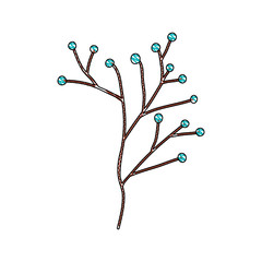 Sticker - branch with seeds natural icon vector illustration design