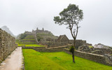 Fototapeta  - Machu Picchu's citadel on a foggy day, in Peru