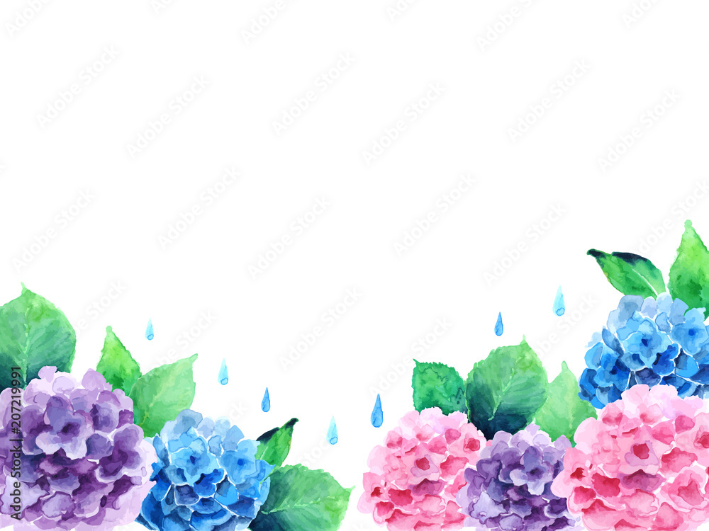 紫陽花の水彩画 フレーム付き 透明水彩画 紫陽花（あじさい）F10サイズ 額縁付 原画 新築・引越し