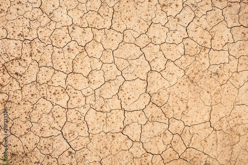 Fotografía Brown dry soil or cracked ground texture background.