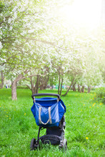Baby Stroller In The Blooming Garden