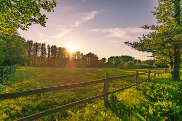 Wall Mural - Sonnenuntergang auf dem Land