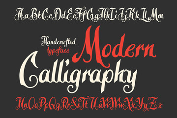 Poster - modern calligraphic handcrafted typeface