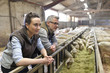 © goodluz - Couple of breeders in barn looking at sheep herd