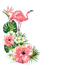 Beautiful Pink Flamingo And Exotic  Flowers , Palm Leaves, Watercolor
