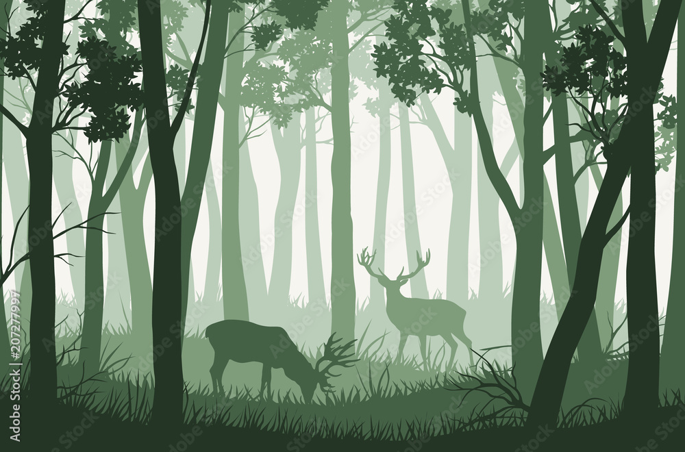 Vector green forest landscape with trees and two deers Stock Vector ...