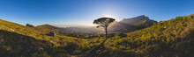 Panorama Of Table Mountain In Cape Town At Sunrise