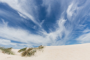 Beautiful sandy beach with blu sky