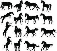 Vector Set Of Horses Silhouettes.
