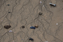 Rocks And Shells On The Beach In Low Tide, With Rivulets Formed By Receding Water