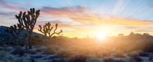 Colorful Sunset Light Shining Over Panoramic Desert Landscape Scene In Joshua Tree National Park, California