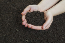 Hands Holding A Pile Of Soil Above The Ground